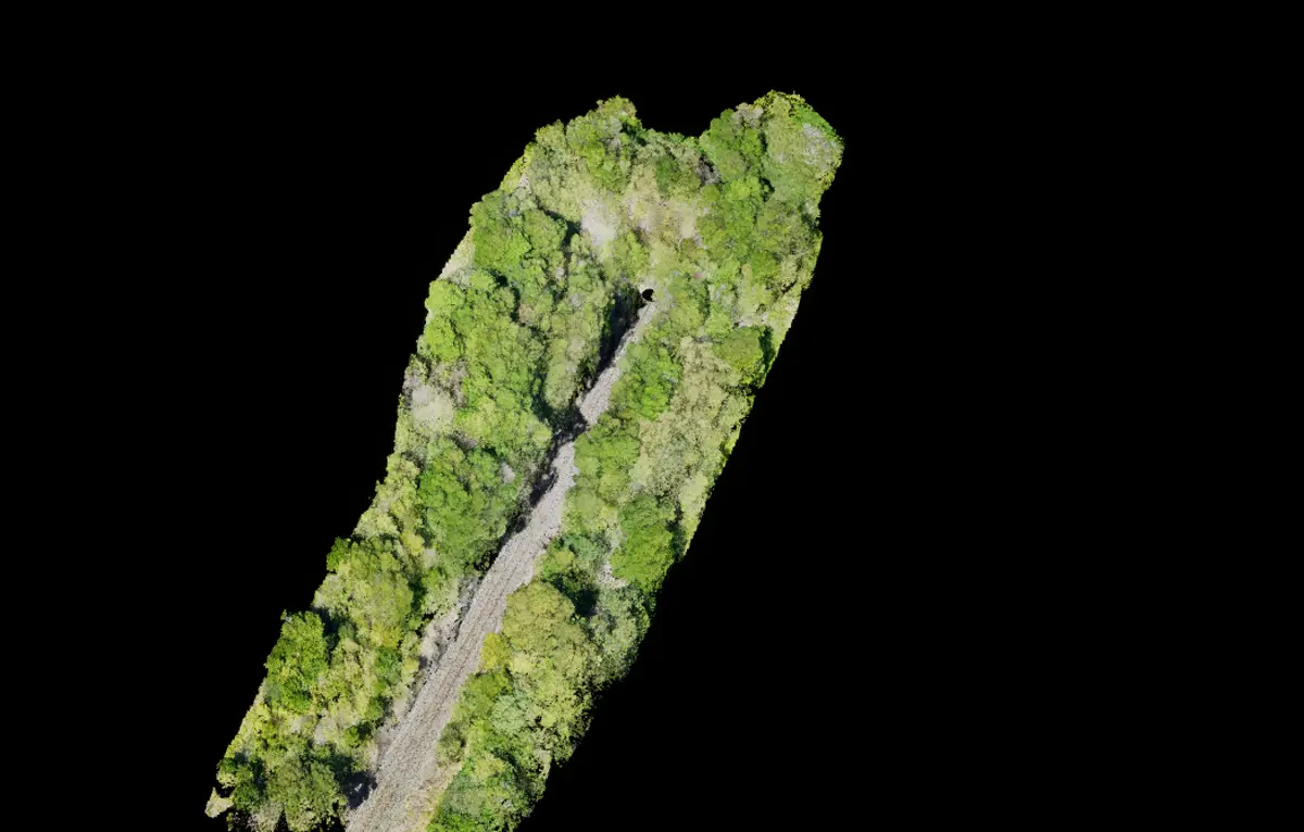 Colour LiDAR view of a vegetated rail cutting
